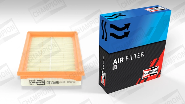 Air Filter CAF100956P
