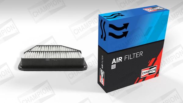 Air Filter CAF100896P
