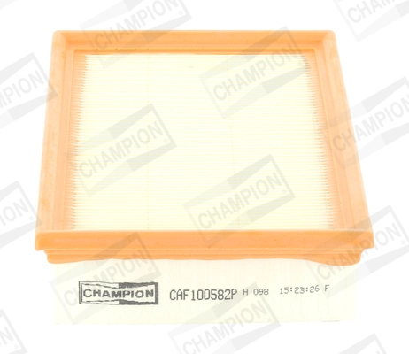 Air Filter CAF100582P