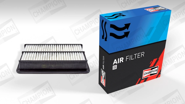 Air Filter CAF101026P