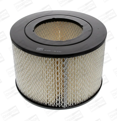 Air Filter CAF100209R