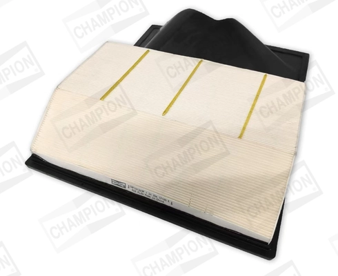 Air Filter CAF101269P