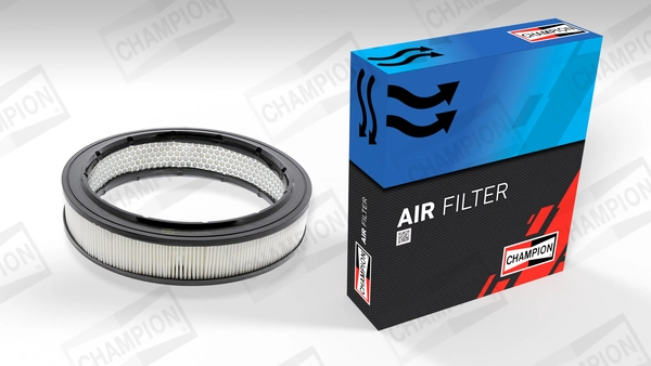 Air Filter CAF100102R