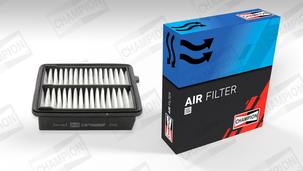 Air Filter CAF100880P