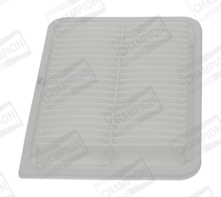 Air Filter CAF101107P