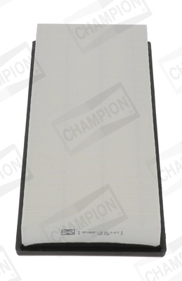 Air Filter CAF100863P