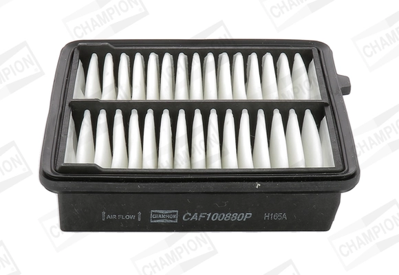 Air Filter CAF100880P