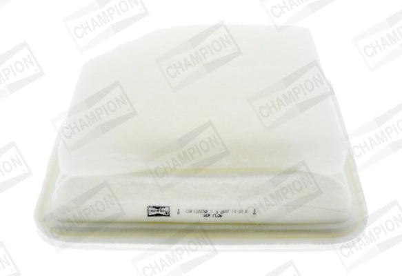 Air Filter CAF100874P