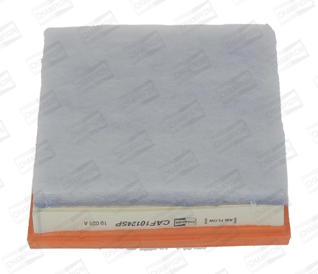 Air Filter CAF101245P