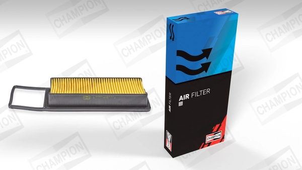 Air Filter CAF100812P