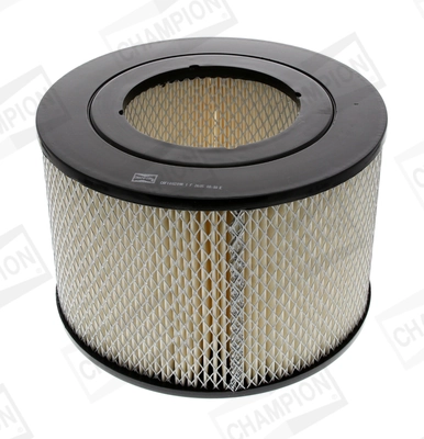 Air Filter CAF100209R