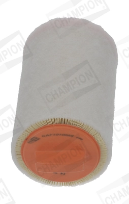 Air Filter CAF101066R