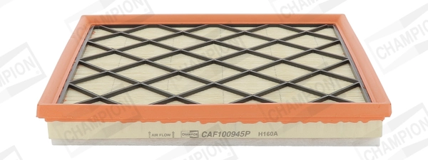 Air Filter CAF100945P