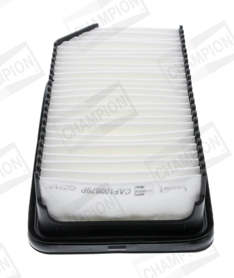 Air Filter CAF100879P