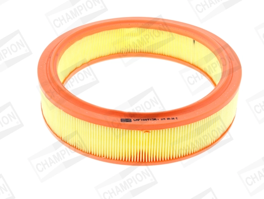 Air Filter CAF100713R