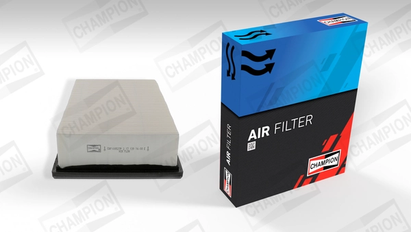 Air Filter CAF100527P