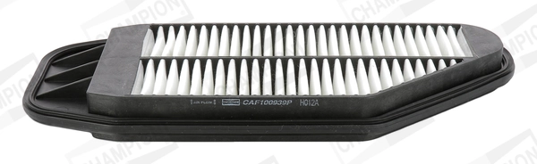 Air Filter CAF100939P