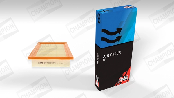 Air Filter CAF100577P