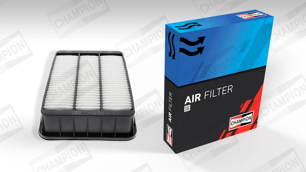 Air Filter CAF100881P