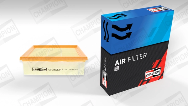 Air Filter CAF100952P