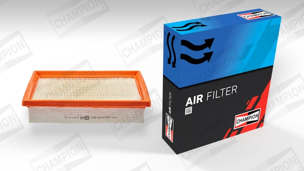 Air Filter CAF101071P