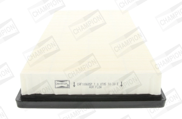 Air Filter CAF100685P