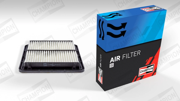 Air Filter CAF100944P