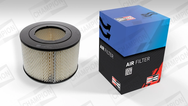 Air Filter CAF100209R
