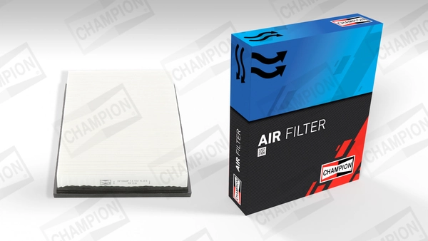 Air Filter CAF100668P