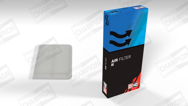 Air Filter CAF101107P