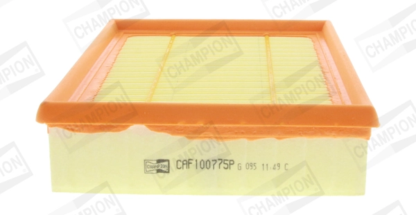 Air Filter CAF100775P