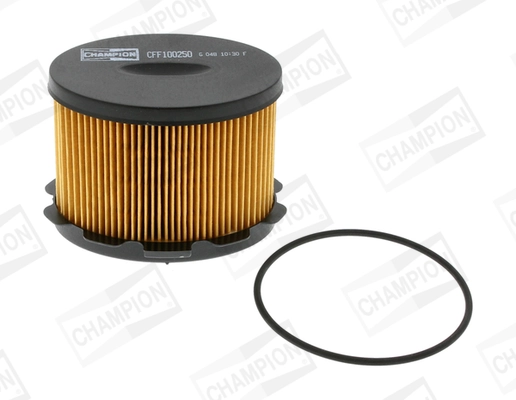Fuel Filter CFF100250
