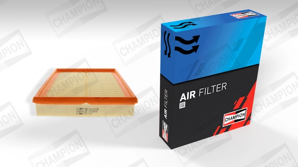 Air Filter CAF100800P
