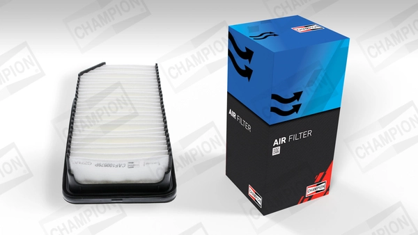 Air Filter CAF100879P