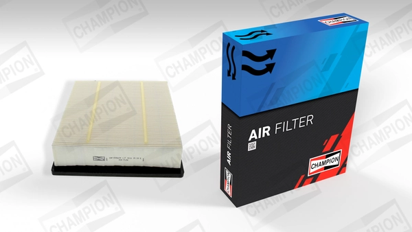 Air Filter CAF100567P
