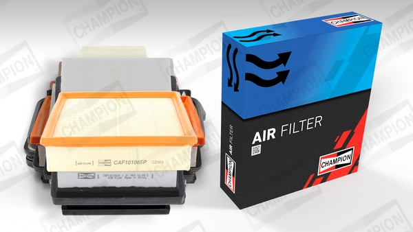 Air Filter CAF101065P