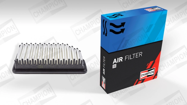 Air Filter CAF101032P