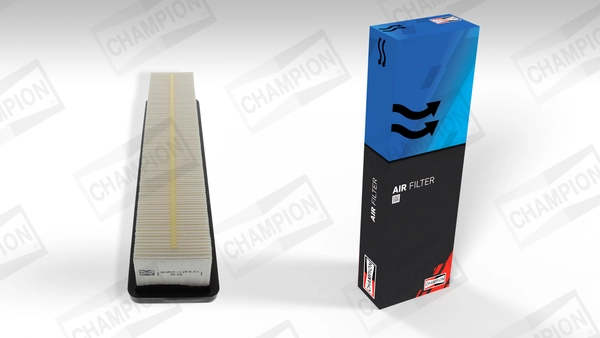 Air Filter CAF100817P