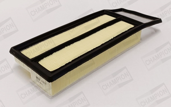 Air Filter CAF100997P
