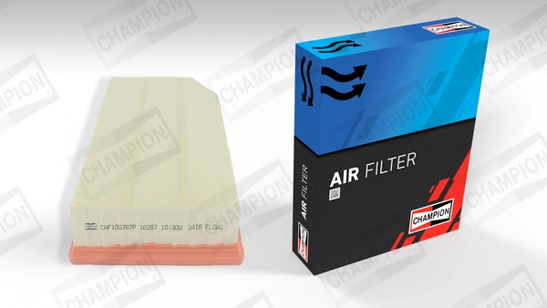 Air Filter CAF100787P