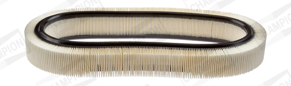 Air Filter CAF100148R