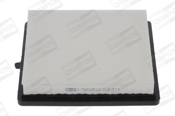 Air Filter CAF101219P