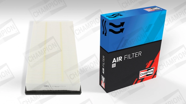Air Filter CAF100808P