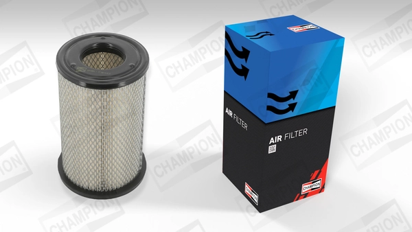 Air Filter CAF100491C