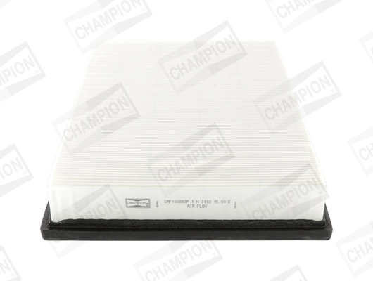 Air Filter CAF100883P