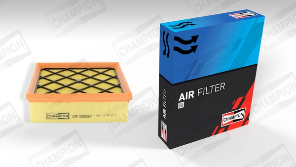 Air Filter CAF100936P