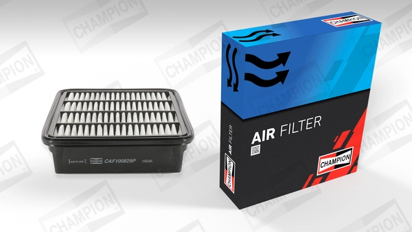 Air Filter CAF100829P