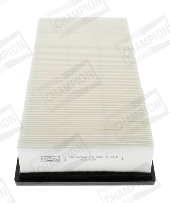 Air Filter CAF100634P