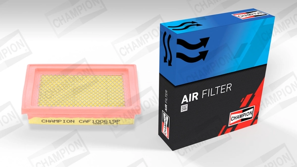 Air Filter CAF100619P