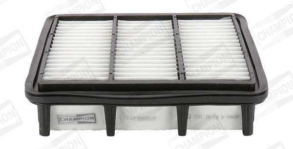Air Filter CAF100891P